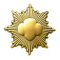 gold_pin gold_pin